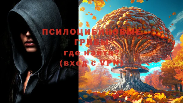 мескалин Гусиноозёрск