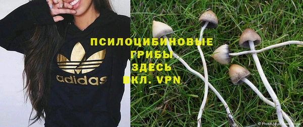 мяу мяу мука Гусь-Хрустальный
