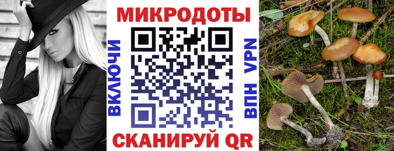 Галлюциногенные грибы мицелий  Купить закладки  Камбарка 
